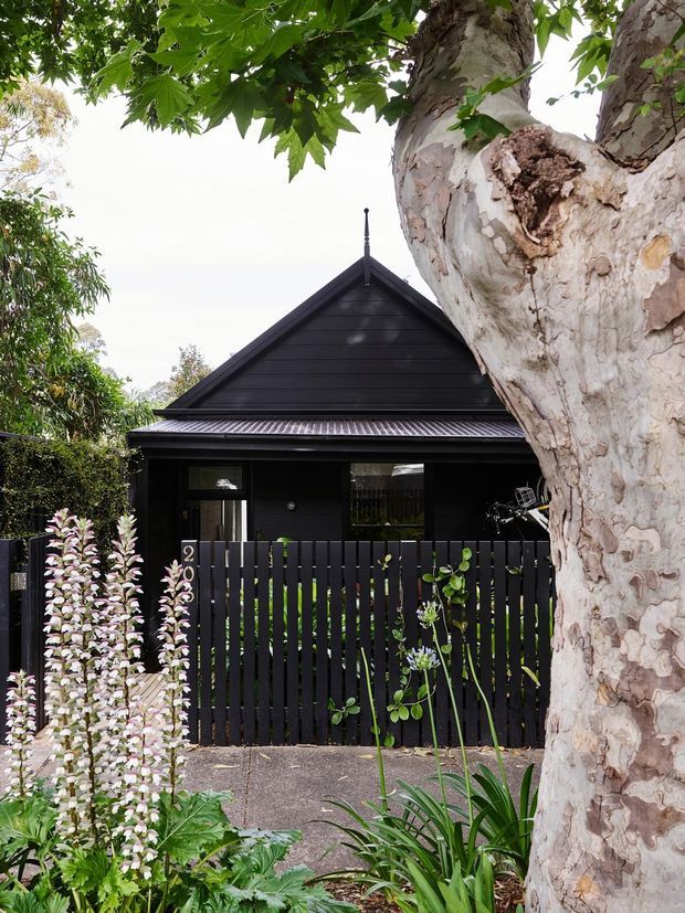 Street-facing view of a compact dark-clad gable-roof house, partially screened by a black vertical-slat fence and lush garden planting. A large mature tree dominates the foreground, with the home's covered entry and dark-framed glazing visible behind the fence.