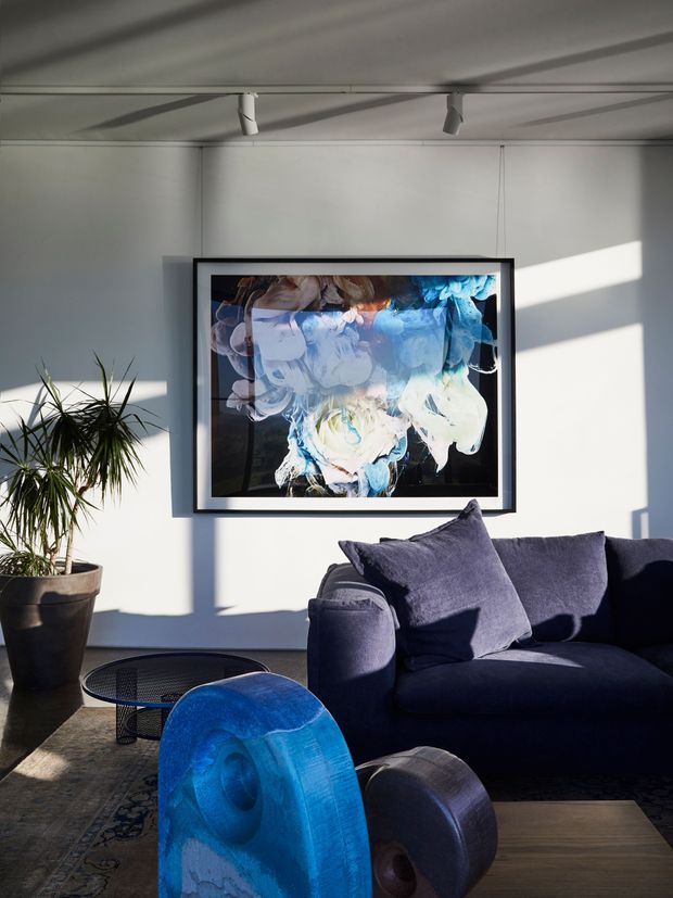 A sunlit contemporary living room with a dark navy sectional sofa, patterned area rug, low round coffee tables, sculptural blue and dark-toned objects, a potted dracaena, and a large abstract floral artwork in a black frame. White walls and ceiling-mounted track lighting create strong geometric shadows across the room.