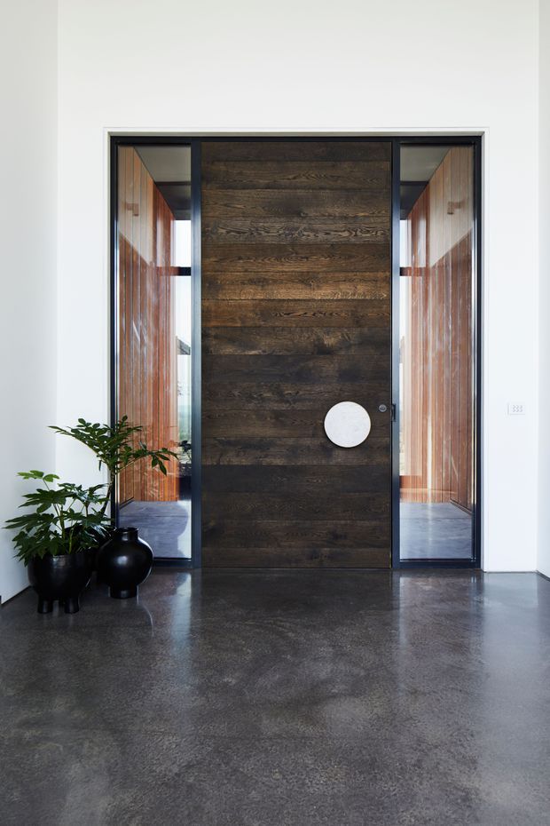 A minimalist residential entryway featuring a tall dark timber pivot door with a large circular handle, framed by narrow glazed sidelights. Warm vertical timber wall lining is visible beyond the entry, contrasting with white walls and a polished dark concrete floor. Black sculptural planters with greenery sit to one side.