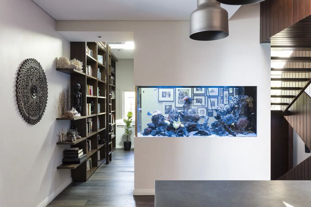 Interior view of a contemporary home featuring a large built-in aquarium set into a white partition wall, dark timber open shelving filled with books and objects, and a sculptural circular wall artwork. A staircase with dark timber detailing and metal pendant lights are visible, with a grey stone or composite benchtop in the foreground.