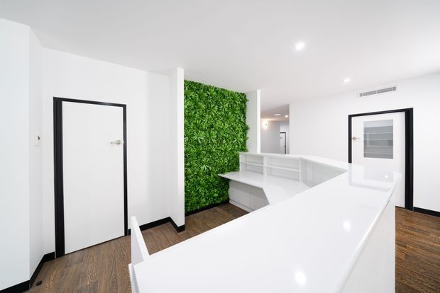 Bright contemporary interior featuring a glossy white reception or work counter wrapping around a central built-in shelving unit, with a vivid green living wall behind it. White walls and ceiling, black-trimmed doors, recessed lighting, and dark timber-look flooring create a clean, high-contrast commercial or office environment.
