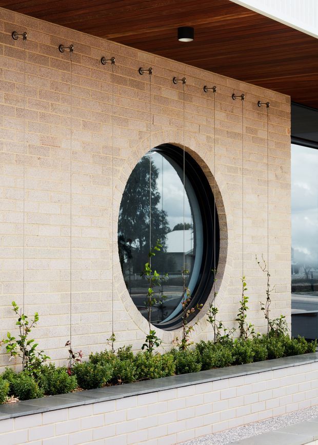 Close-up exterior view of a contemporary building facade clad in pale cream masonry blocks, featuring a dramatic vertically oriented oval window with a dark curved frame. A row of small projecting wall-mounted lights runs beneath a dark timber-lined soffit, while a raised planter with neatly clipped greenery sits at the base of the wall.