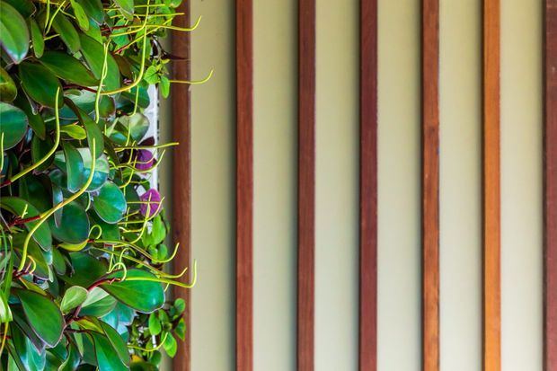 Close-up architectural detail of a vertical timber screen or slatted facade, with warm reddish-brown timber battens set against a pale wall and lush climbing foliage visible along the left side. The image emphasizes natural materials, strong vertical rhythm, and integrated greenery.