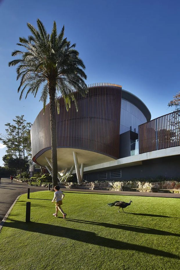 Exterior view of a contemporary curved building set within landscaped grounds. The structure features a rounded projecting volume screened with vertical timber-toned battens, a sweeping curved roof or upper facade, dark lower walls, exposed structural supports, and a raised terrace with matching vertical screening. A palm tree, lawn, pedestrian path, and landscaped rock garden surround the building.