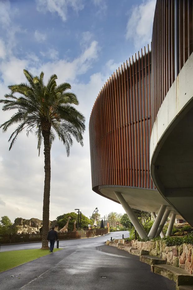 Exterior architectural photograph of a contemporary curved building elevated on angled concrete columns, with a prominent vertical timber-toned or rust-coloured slatted screen wrapping the upper facade. The scene includes a landscaped pedestrian driveway, palm trees, stone retaining walls, and a zoo-like environment with giraffes visible in the background.
