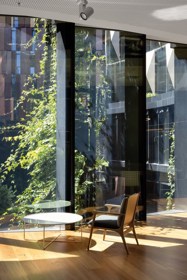 A bright, refined interior lounge or sitting area with full-height black-framed glazing overlooking lush greenery and an adjacent modern building. The room has warm timber flooring, a perforated white acoustic ceiling with a recessed spotlight, and mid-century-style timber lounge chairs with dark upholstery around a slim round glass coffee table. Strong sunlight creates a calm indoor-outdoor atmosphere.