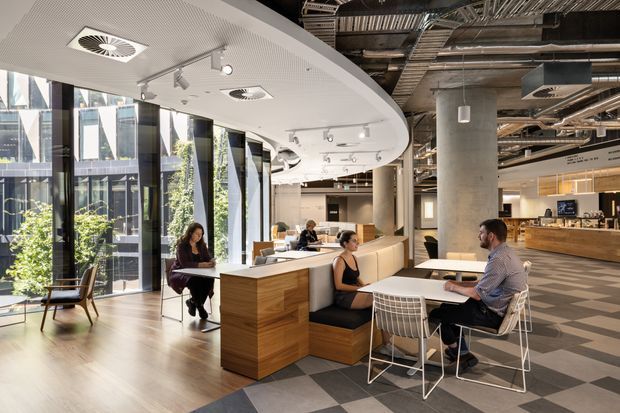 Open-plan contemporary commercial interior, likely a hospitality or workplace café lounge, with large floor-to-ceiling glazing, indoor planting, timber service counters and built-in seating. The space combines a warm timber-finished zone with an exposed-services industrial ceiling, concrete columns, track lighting, and patterned grey flooring. Several people are seated at communal tables and lounge areas.