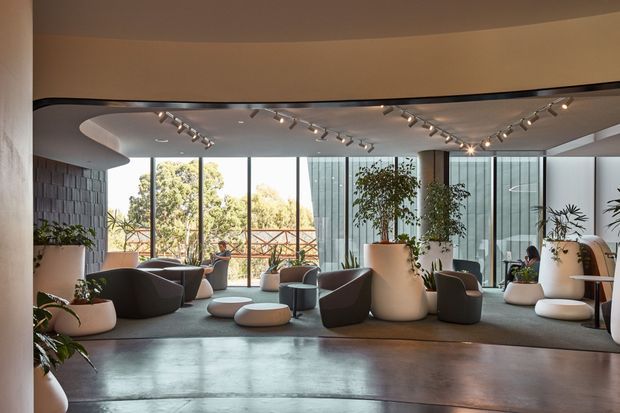 A spacious contemporary lounge or reception area with curved architectural forms, floor-to-ceiling glazing, exposed track lighting, indoor planting, and sculptural upholstered seating arranged over a broad carpeted zone. A dark textured feature wall and polished concrete floor add contrast, while trees and an outdoor terrace are visible through the glazing.