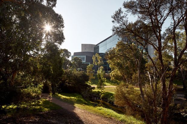 Exterior view of a large contemporary glass-and-metal building partially screened by mature trees and landscaped grounds. A gravel pedestrian path follows a narrow creek or drainage channel through the foreground, with strong late-afternoon sunlight filtering through the vegetation.