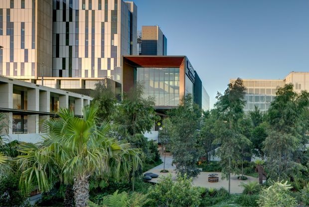 Exterior architectural view of a contemporary multi-storey commercial or institutional complex, seen across a landscaped courtyard. The buildings combine tall glazed facades, vertically patterned light cladding, projecting box-like volumes, and deep roof overhangs. Dense subtropical planting, palms, paths, and outdoor seating occupy the foreground courtyard.