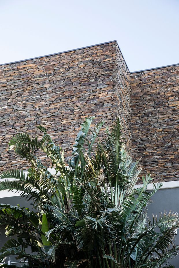 Upward-looking exterior view of a contemporary building with tall walls clad in irregular stacked natural stone, forming a clean angular corner. Dense tropical and subtropical planting fills the foreground, with a pale blue sky above.