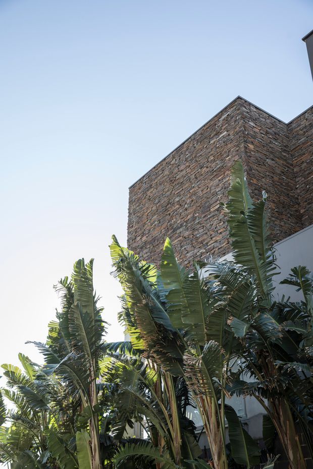 Exterior architectural view of a contemporary building with a tall, angular wall clad in layered natural stone masonry. Dense tropical banana-like planting fills the foreground, partially screening the lower facade, with a pale blue sky above.
