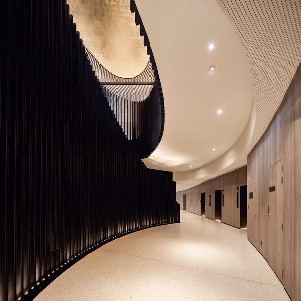 A refined contemporary interior corridor with a sweeping curved ceiling and a dramatic sculptural screen made from closely spaced black vertical fins. The corridor has a pale polished floor, warm timber wall panelling with multiple flush doors, recessed downlights, and perforated acoustic ceiling panels. The curved black screen creates a strong architectural focal point and partially encloses the circulation space.
