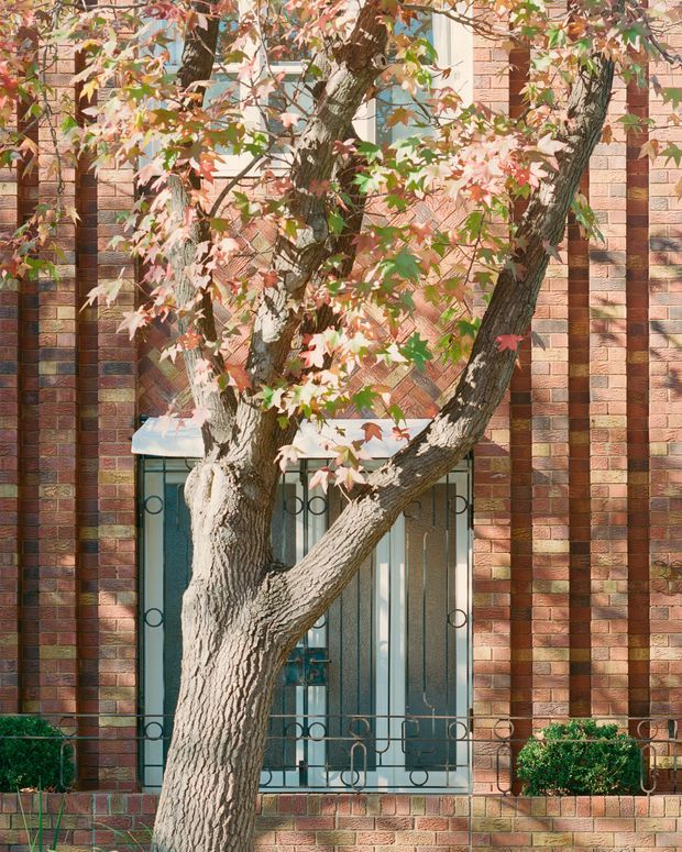 Close-up exterior view of a red and multicoloured brick facade partially screened by a mature tree. The facade features strong vertical brick piers, recessed patterned brickwork, and a tall window or doorway with decorative black metal security grilles and a small planter ledge. Warm daylight highlights the textured masonry and autumn foliage.