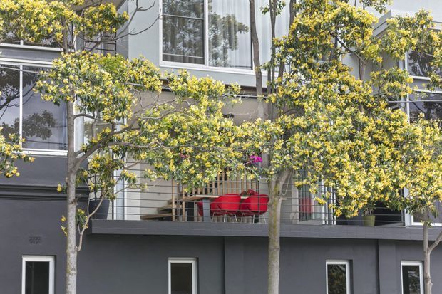 Exterior view of a contemporary multi-storey residential building with dark grey rendered walls, horizontal light cladding, large windows, and a balcony partially screened by mature flowering trees. Bright red outdoor seating is visible on the balcony.