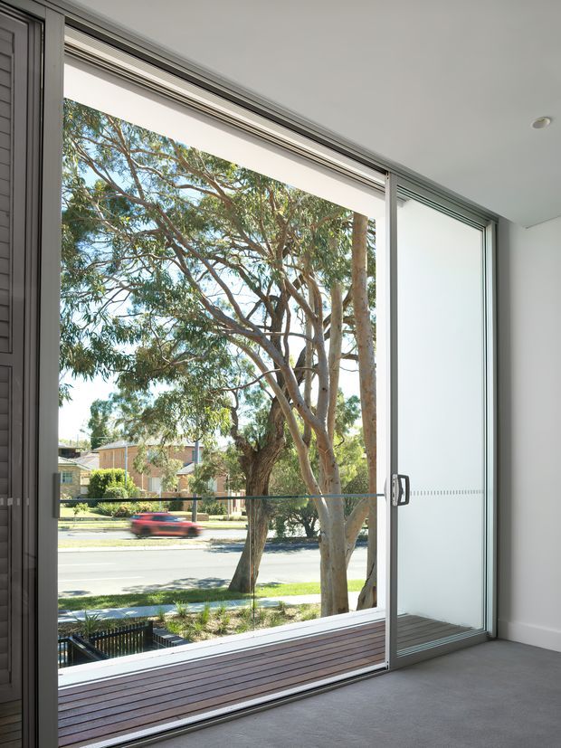 Bright contemporary interior viewed from beside a large floor-to-ceiling sliding glass door. Slim grey aluminium framing opens onto a narrow timber deck and a leafy suburban street with established eucalyptus trees. The room has white walls, a recessed ceiling light, and a grey carpeted floor; the glazing dominates the image.