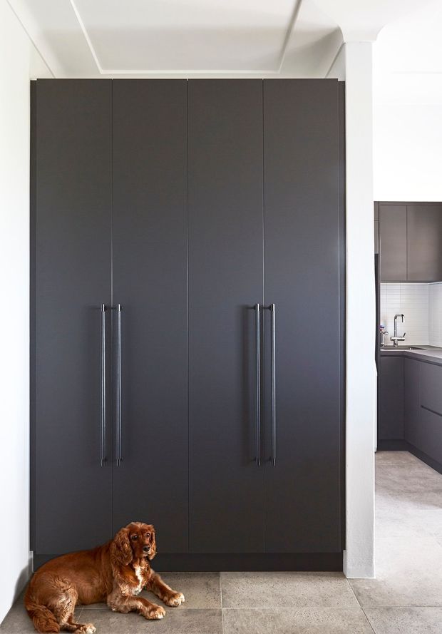 A tall bank of dark charcoal built-in cabinetry with long vertical handles dominates the foreground, set against white walls and a white coffered ceiling. A partial modern kitchen is visible through the opening on the right, with matching dark cabinetry, a pale tiled splashback, sink and benchtop. Large grey floor tiles continue through the space. A dog rests on the floor in front of the cabinetry.