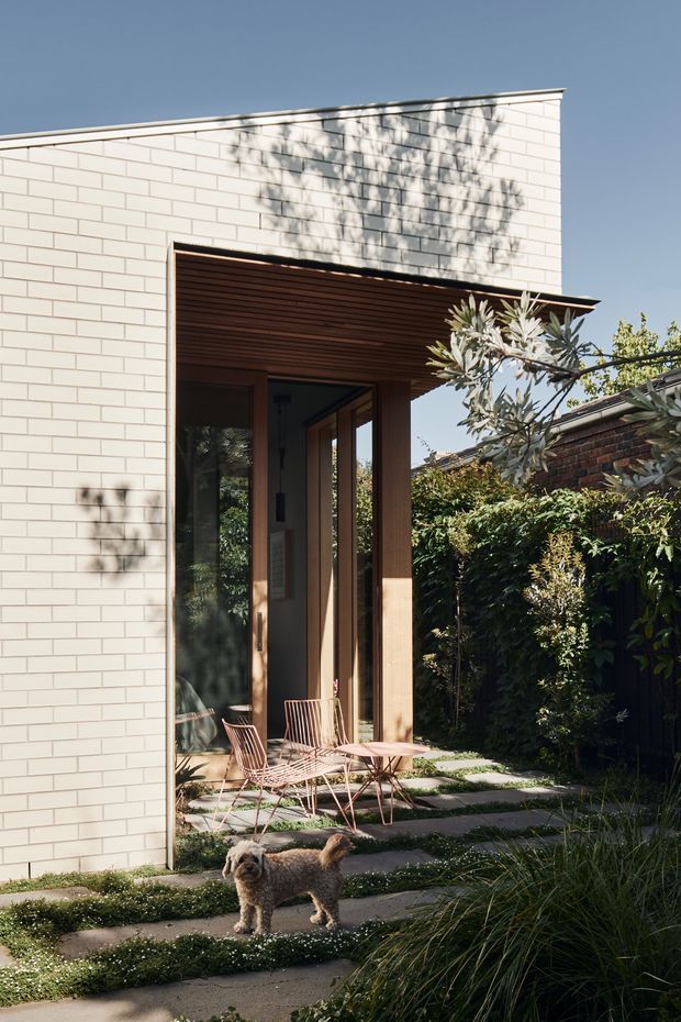 Exterior view of a contemporary courtyard-facing residential addition. A crisp white rectangular brick facade frames a deep recessed entry or outdoor sitting area with warm timber soffit lining, tall dark-framed glazed doors, and timber-clad side reveals. Two wire-frame lounge chairs and a small table sit on a stepping-stone path through planted groundcover, with a leafy garden and neighbouring brick wall beyond. Strong sunlight creates tree shadows across the facade.