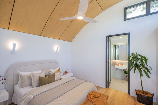 Bright contemporary bedroom with a curved upholstered bedhead, layered neutral bedding, white walls, and a distinctive warm timber-lined vaulted ceiling. A ceiling fan and wall sconces provide lighting, while a glazed doorway opens directly to a compact ensuite bathroom with a vanity. Timber flooring and a potted indoor plant add warmth.
