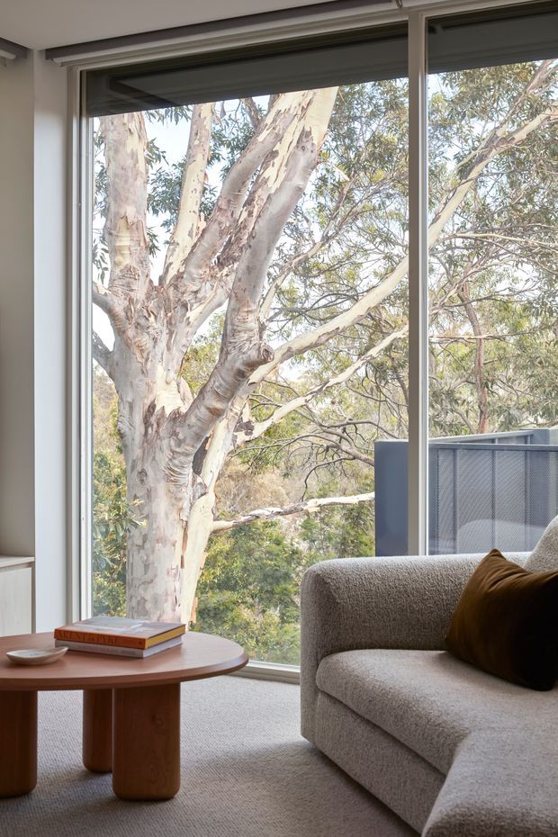 A calm, light-filled living room corner with a large floor-to-ceiling window overlooking mature eucalyptus trees. The space features a soft beige upholstered sofa with a dark brown cushion, a rounded timber coffee table, neutral carpeting, and a partially lowered roller blind. Slim light-coloured window frames and abundant glazing create a strong connection to the surrounding landscape.
