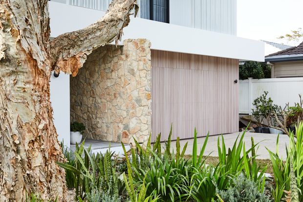 Contemporary residential facade viewed from the landscaped front garden, featuring crisp white horizontal volumes, a tall dark-framed window, pale vertical timber-look screening, and a textured natural stone wall. Dense architectural planting and a mature tree frame the entrance, with a neighbouring roofline visible at right.