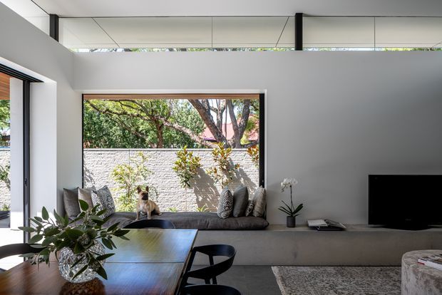 A bright contemporary living room with a low built-in window seat beneath a large picture window, grey walls, a wall-mounted television, and a dark timber dining table with chairs in the foreground. High clerestory glazing and slim black framing bring in natural light, while patterned cushions, a rug, plants, and a cat add domestic warmth. The window looks onto a masonry boundary wall and leafy trees.