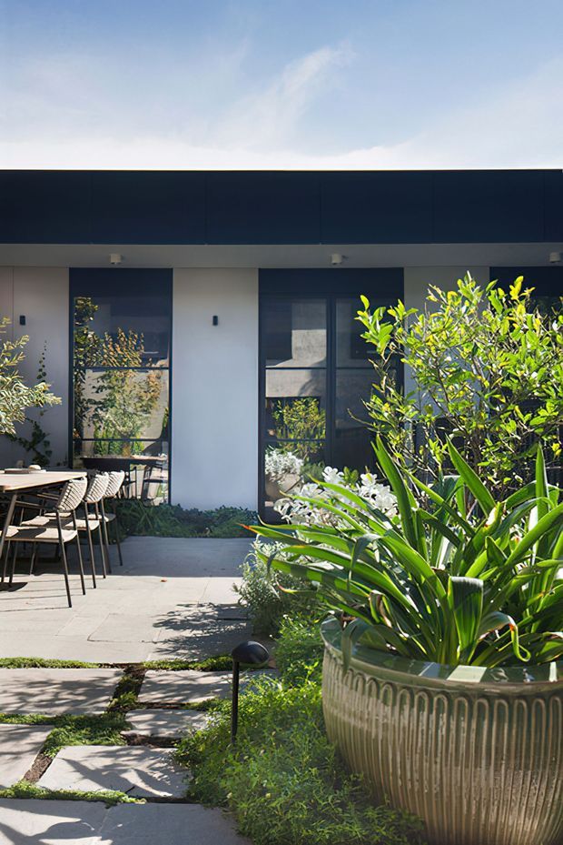 Bright exterior view of a contemporary single-storey building opening onto a landscaped courtyard or patio. The facade combines dark navy cladding or fascia, white rendered walls, and large dark-framed glazed doors and windows. A dining table and chairs sit beneath a covered outdoor area, while lush planting and a large ribbed planter dominate the foreground. Concrete paving and stepping stones connect the planted garden spaces.