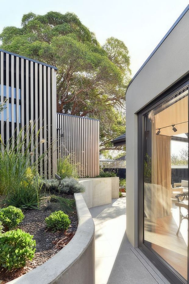 A narrow landscaped courtyard walkway between contemporary building wings. Curved concrete planter walls contain low ornamental planting and grasses, while vertical timber-look screening and dark-framed glazing define the surrounding architecture. The glazing reveals a warm timber-lined interior and track lighting beyond.