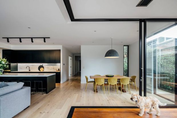 Open-plan contemporary interior showing a kitchen, dining area and living space. The room features pale timber flooring, a matte black kitchen with stone-look splashback and benchtop, black-framed floor-to-ceiling glazing, a sculptural pendant over the dining table, and a small dog in the foreground.