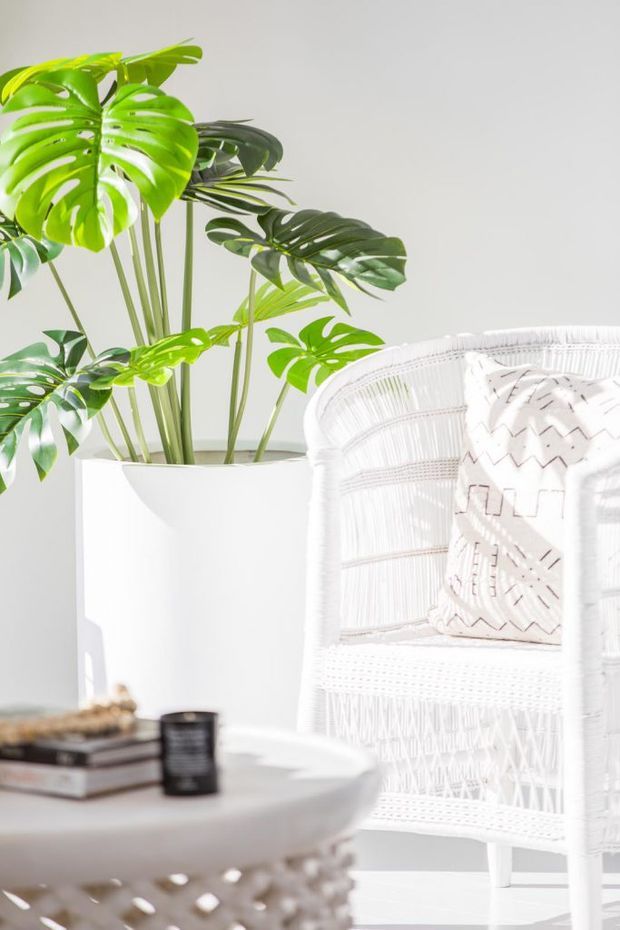 Bright, airy interior vignette featuring a white woven rattan armchair with a patterned cushion, a large white planter filled with tropical split-leaf plants, and a small round white coffee table with books and a dark candle. Strong natural light creates a clean, relaxed, tropical-coastal feel.