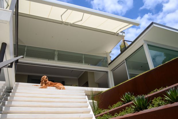 Contemporary multi-level residential exterior viewed from a landscaped stairway, featuring broad white steps, a rust-toned retaining wall with linear planting beds, extensive glazing, glass balustrades, and a large projecting flat roof or canopy. A dog rests on the steps. The image is photographed outdoors under a bright sky.