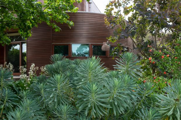 Exterior view of a curved, rounded building facade clad in horizontal dark timber boards, partially obscured by dense landscaped planting. Several windows and glazed doors are visible behind the garden, with mature trees and flowering shrubs surrounding the structure.
