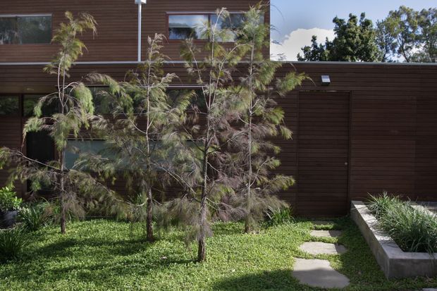 Exterior view of a contemporary multi-level residence clad in dark horizontal timber boards, with integrated windows and a broad garage or entry door. A landscaped front garden features slender trees, groundcover planting, stepping stones, and a raised concrete planter.