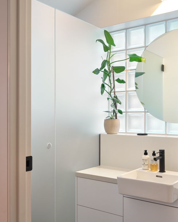 Bright contemporary bathroom with a white built-in vanity, deep rectangular basin, matte black tapware, large round wall mirror, and a tall potted plant. Translucent glass-block-style windows with blinds provide abundant natural light, while the cabinetry and walls use a clean white palette.