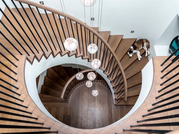 Top-down view of a dramatic curved spiral staircase with dark timber treads, matching timber balustrade rails, and black metal spindles. Multiple pendant globe lights hang through the stair void, with white curved walls and a dog resting on an upper landing.