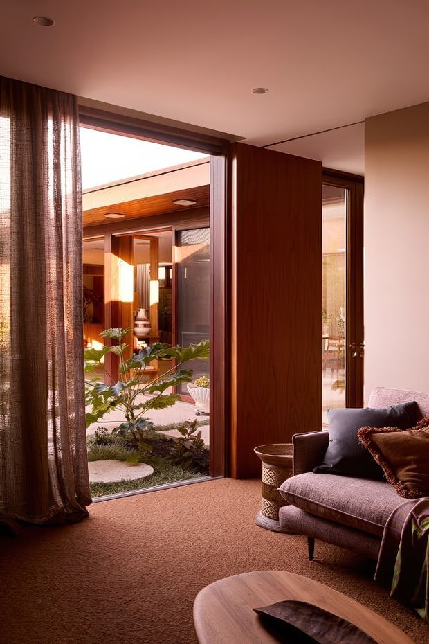 A warm, richly toned living room opening onto a landscaped courtyard through large timber-framed glazed doors. The room features rose-brown carpet, a plush upholstered armchair with cushions, a rounded timber coffee table, sheer textured curtains, and dark timber wall and door elements. The courtyard beyond includes planting, gravel, and a covered timber-lined outdoor area, creating a strong indoor-outdoor connection.