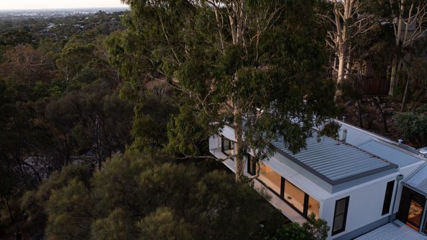 Aerial oblique view of a contemporary, low-profile house nestled among dense eucalyptus trees on a wooded hillside. The home has crisp white exterior walls, extensive dark-framed glazing, and light grey corrugated metal roofing, with a distant suburban landscape visible beyond the treetops.