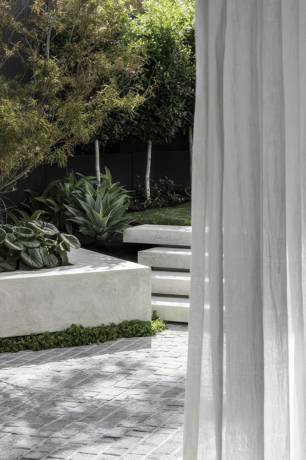 A tranquil landscaped courtyard viewed beside a sheer white architectural curtain or screen. The garden features layered leafy planting, sculptural agaves, raised smooth concrete planters, low clipped groundcover, and a series of broad concrete steps. The foreground is paved with light grey irregular stone or concrete pavers, while a dark vertical boundary fence encloses the garden. The composition is minimalist and contemporary, with strong contrasts between white fabric, pale hardscape, dark fencing, and lush greenery.