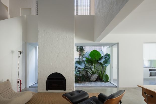 Bright, high-ceiling contemporary living room with a white textured masonry fireplace, sculptural black leather lounge chairs, a woven natural-fibre rug, and a glazed internal courtyard filled with tropical planting. The open-plan space connects visually to a clean white kitchen, with clerestory glazing bringing in additional daylight.