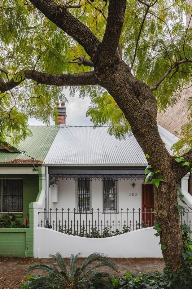 Street-facing view of a compact historic terrace or cottage with a corrugated metal gabled roof, painted masonry facade, barred windows, decorative wrought-iron fence, timber front door, and a prominent mature street tree in the foreground. The neighboring green-painted facade and attached brick wall are also visible, creating an urban residential streetscape.