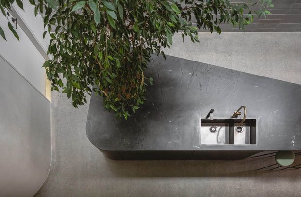 Top-down view of a compact contemporary kitchen with a dark stone or concrete island incorporating a double-bowl stainless-steel sink and contrasting brass and dark tapware. A large indoor tree overhangs the island, while grey walls, a pale ceiling, and a smooth grey floor create a restrained material palette.
