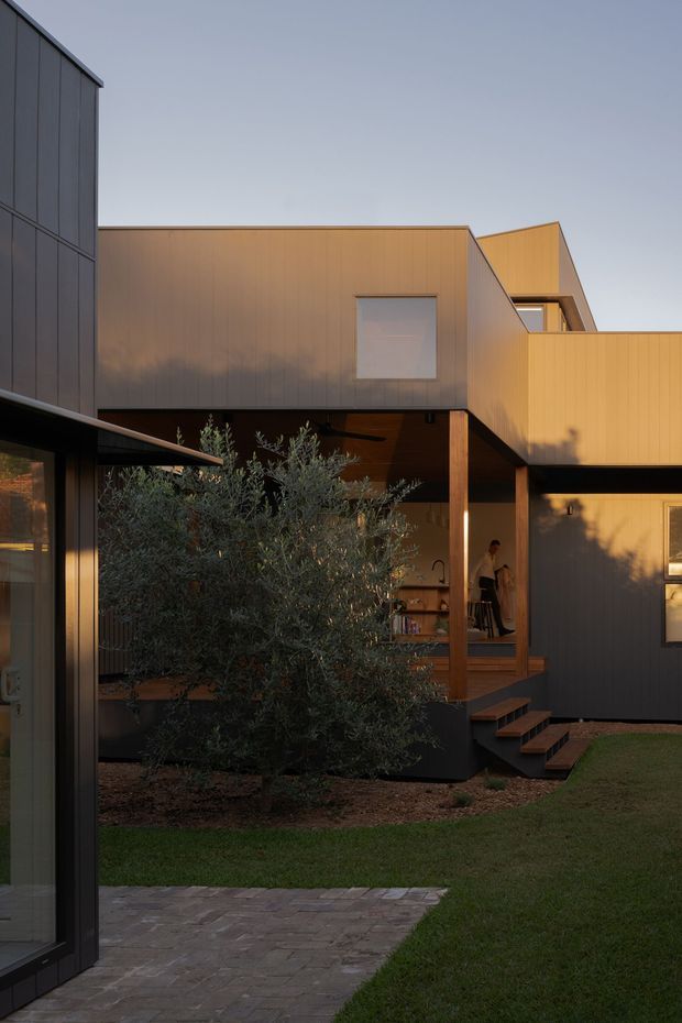 Exterior view of a contemporary multi-level residential building arranged around a landscaped courtyard. The structure features dark vertical cladding, warm timber-toned wall panels, projecting box-like volumes, deep roof overhangs, large glazed openings, and an elevated timber-covered terrace accessed by steps. A paved path, lawn, and mature olive tree occupy the foreground.