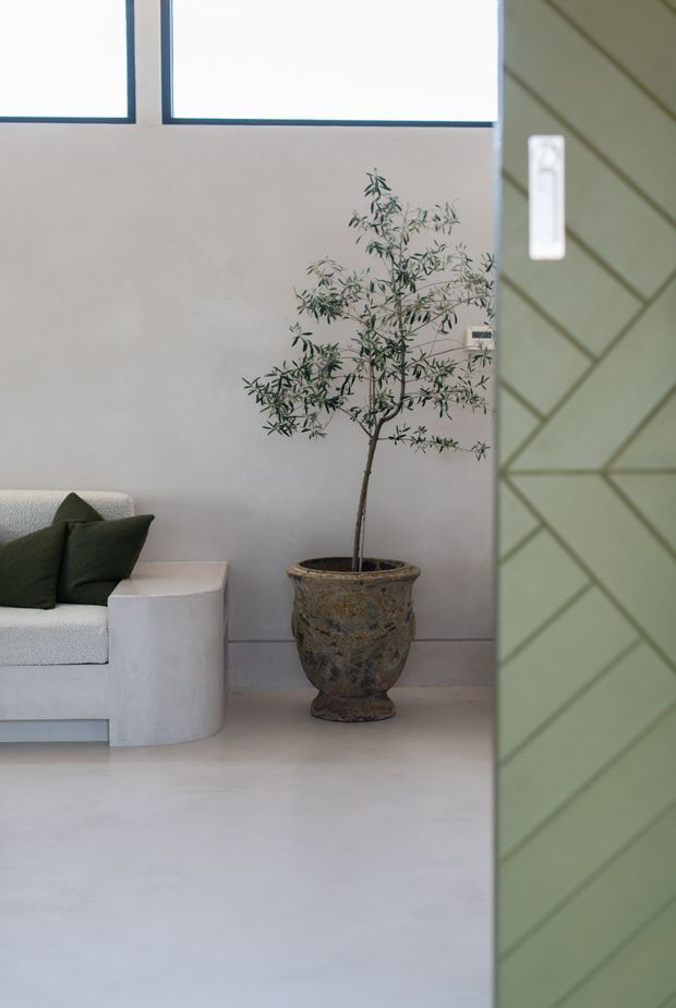 A softly lit minimalist interior corner with a low white upholstered sofa and dark green cushions, a sculptural weathered planter containing a slender indoor tree, pale smooth flooring and walls, and high horizontal windows. A partially visible sage-green door or screen with diagonal geometric panelling occupies the right side.