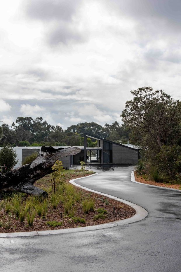 A modern single-storey house viewed from a curving driveway in a natural, wooded setting. The home has dark vertical cladding, a low asymmetrical pitched roof, broad glazed openings, and a sheltered entry courtyard. Native-style landscaping, mature trees, and a prominent fallen tree trunk frame the foreground under an overcast sky.