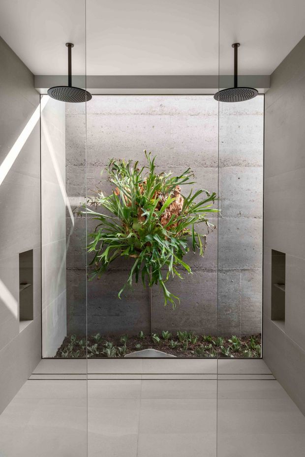 A contemporary walk-in shower room with a fully glazed enclosure, twin ceiling-mounted rain showerheads, recessed wall niches, large pale grey wall and floor tiles, and a planted feature wall with concrete-like panels and dense greenery. Strong natural light enters from the glazed opening, creating a calm, spa-like atmosphere.