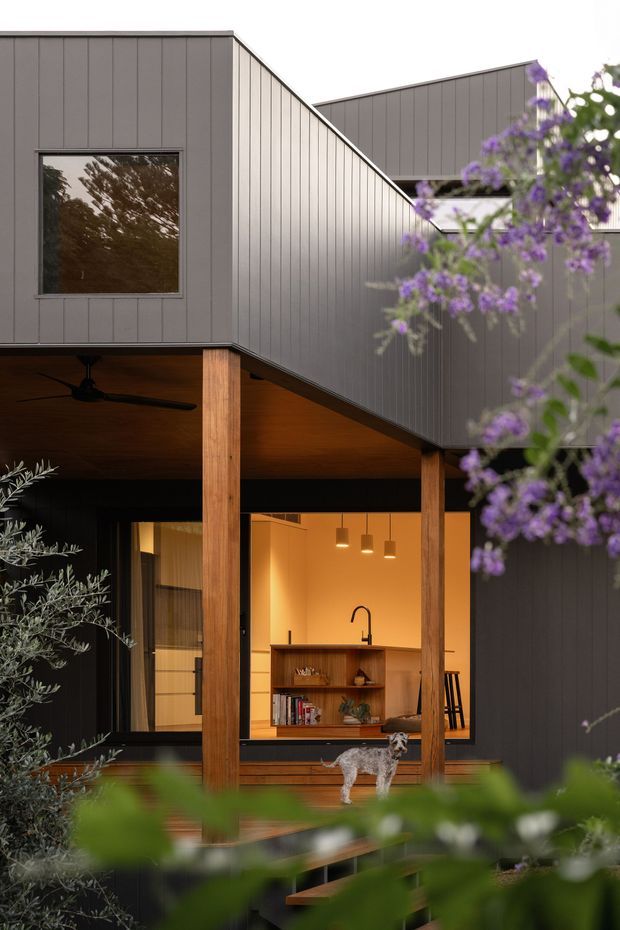A contemporary multi-level house viewed from a landscaped exterior courtyard or garden. The facade combines dark grey vertical cladding with warm timber posts and a timber-lined covered outdoor area. Large openings reveal a warmly lit kitchen or living space with timber shelving, a sink, pendant lights and stools. A projecting upper volume and angular roofline create a strong geometric form, while foreground planting partially frames the view.