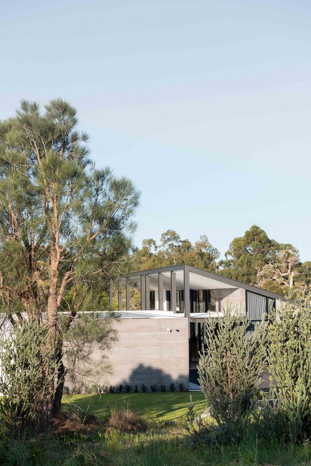 Exterior view of a contemporary single-storey house set within a landscaped, wooded site. The building has a low-pitched asymmetrical roof, extensive dark-framed glazing, slim vertical structural posts, and a raw concrete or cement-rendered wall forming the lower volume. Mature trees and native planting surround the house.
