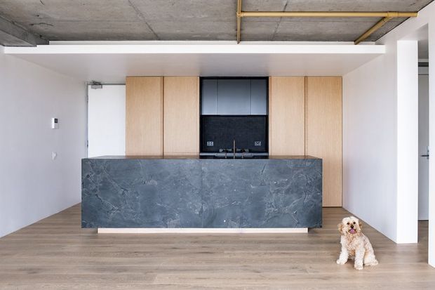 A minimalist contemporary kitchen with a large dark grey stone island, light timber cabinetry, black integrated appliances and splashback, and a warm timber floor. The space has exposed concrete ceiling panels with visible yellow conduit and a long linear ceiling light. A small dog is present near the island.