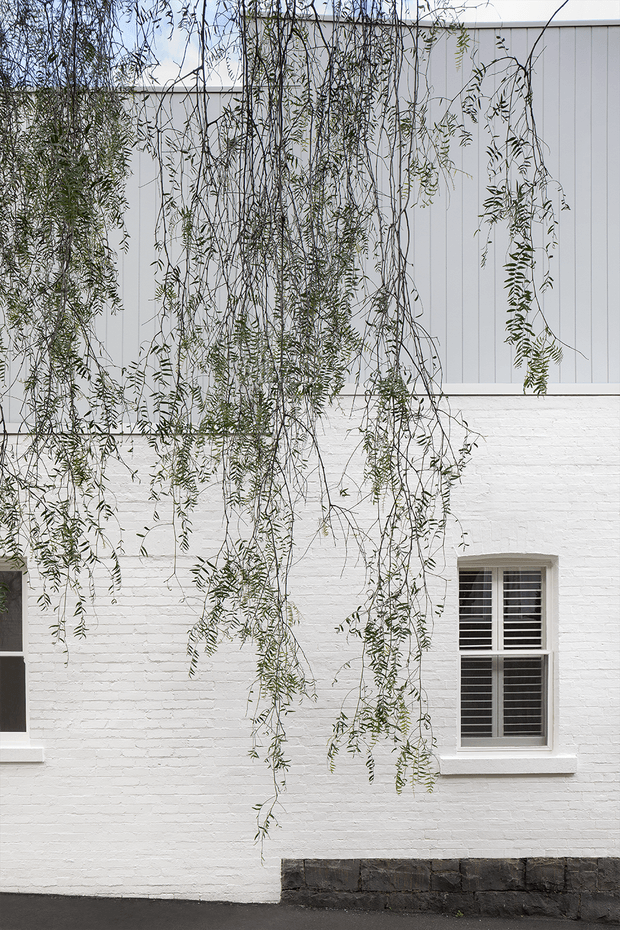 Close-up exterior view of a white-painted brick facade with a simple upper section clad in vertically lined light grey panels. A traditional sash window with dark horizontal shutters sits above a dark stone or painted masonry base, partly screened by cascading leafy branches.
