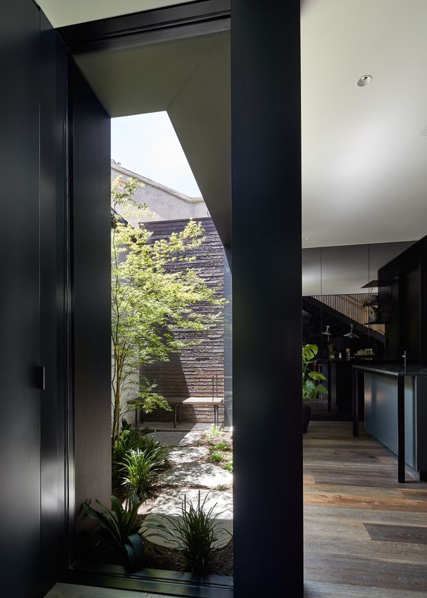 A dark, contemporary interior opening onto a narrow landscaped courtyard. Black built-in cabinetry and structural columns frame the view, while a minimalist kitchen with a dark island is visible to the right. Timber flooring continues toward the courtyard, which features a small tree, layered planting, a paved path, and a dark textured masonry wall. The composition emphasises strong contrast between the shadowed interior and bright outdoor light.